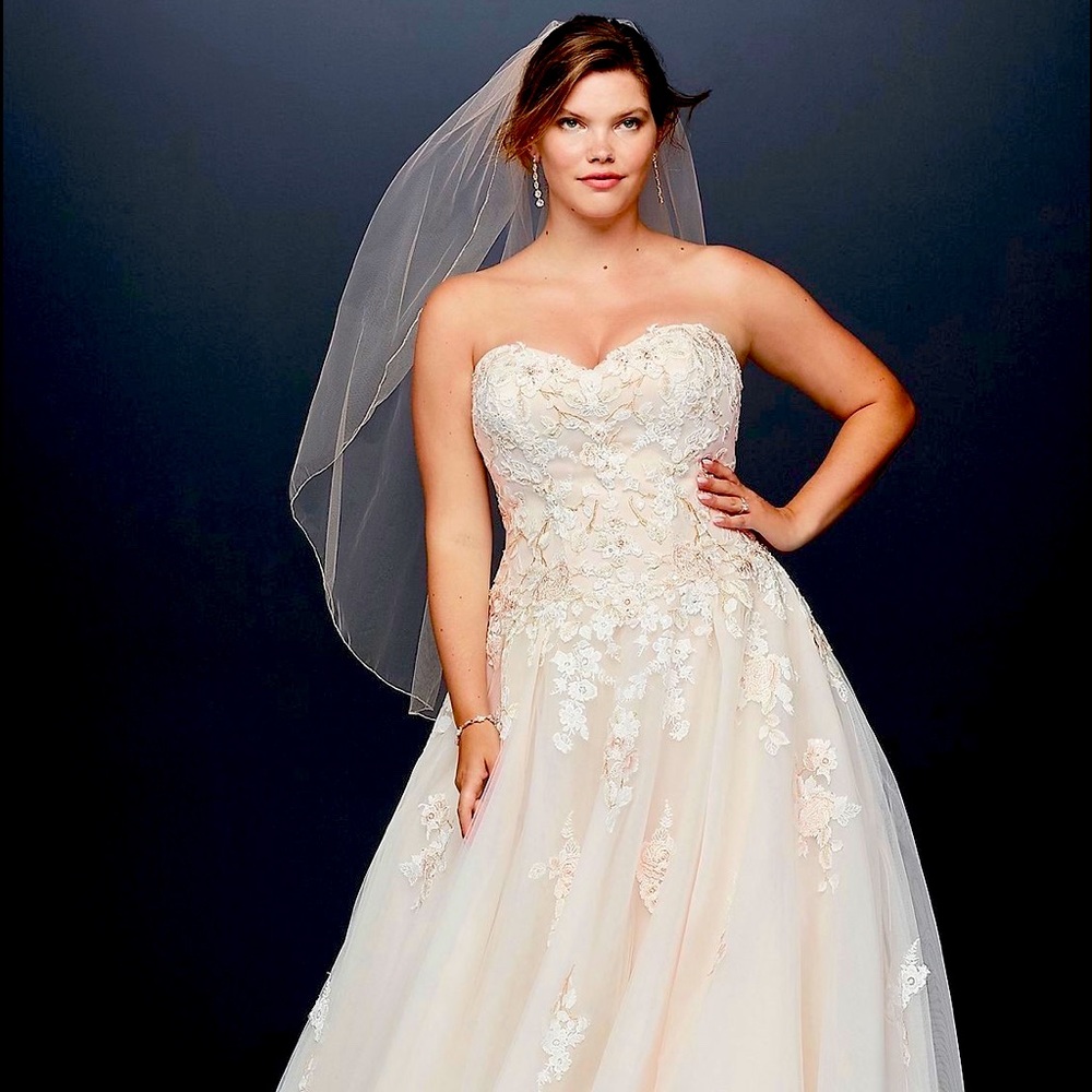 Embroidered Lace Appliqué Plus Size Wedding Dress